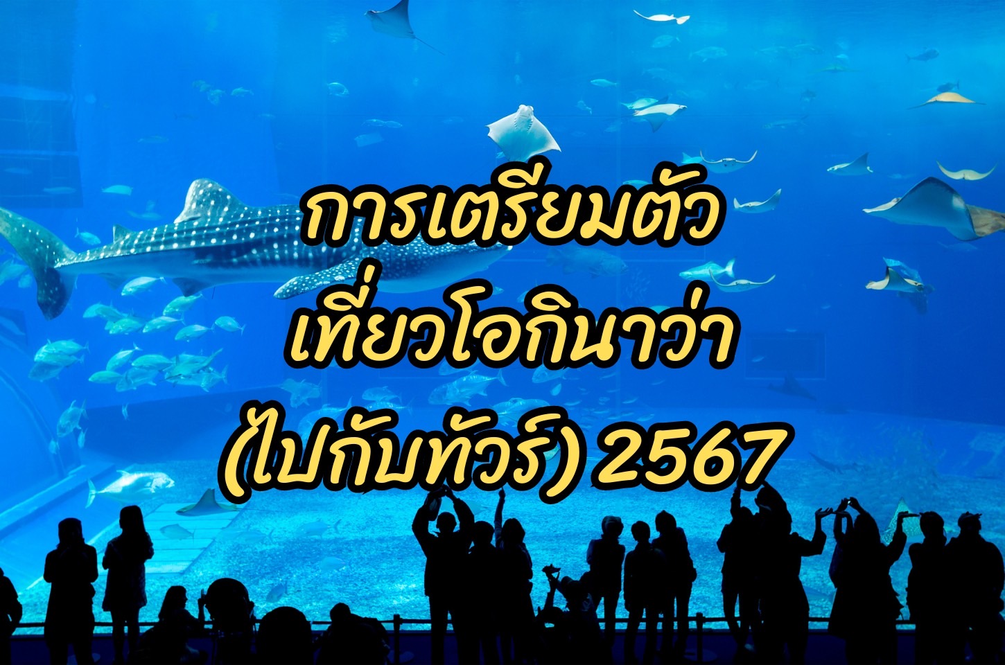 การเตรียวตัวไปเที่ยวประเทศญี่ปุ่น เที่ยวกับทัวร์ ทัวร์โอกินาว่า เที่ยวกับทัวร์ 2567 (2024)